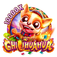 Facai : CHILIHUAHUA - MASURAPLAY77
