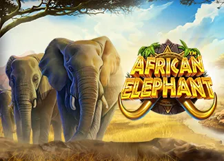 Pragmatic : African Elephant - MASURAPLAY77